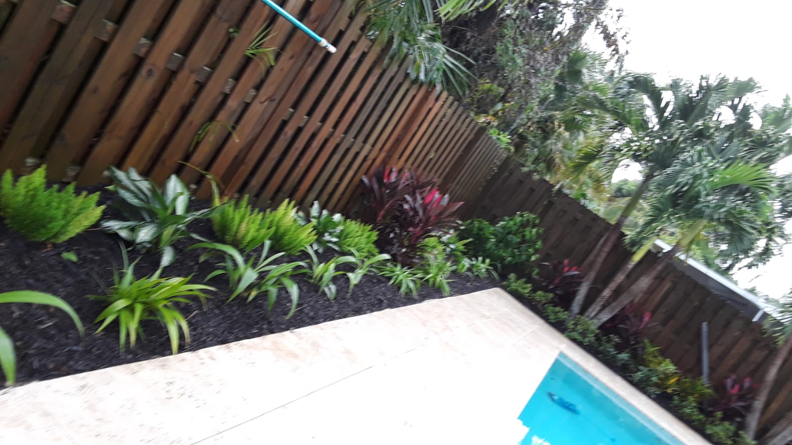 PASCUAL LANDSCAPE Image